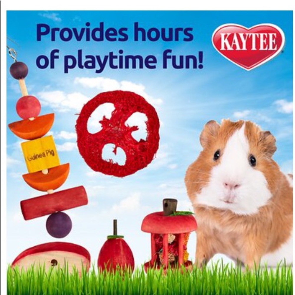 Kaytee Guinea Pig Toys